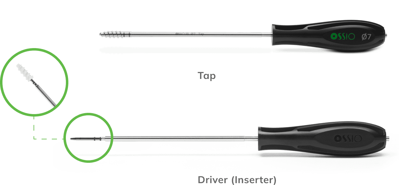 Image De4A3A77 6666 4C8B A157 7B827B70D959 Ossio – Naturally Transformative Bone Healing